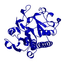 Image of CATH 2riz