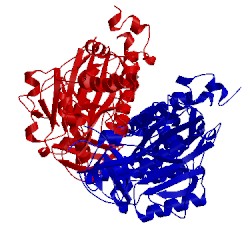 Image of CATH 2rkw