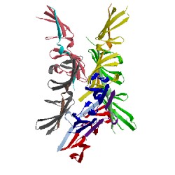 Image of CATH 2rkz