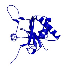 Image of CATH 2rli