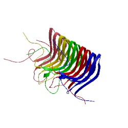 Image of CATH 2rnm