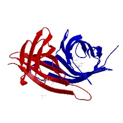 Image of CATH 2rte