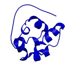 Image of CATH 2ru5