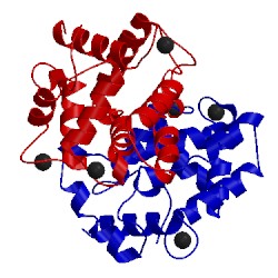 Image of CATH 2scp