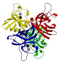 Image of CATH 2sod