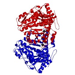 Image of CATH 2tpl