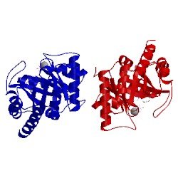 Image of CATH 2tps