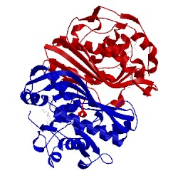Image of CATH 2tsc