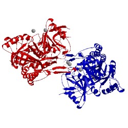 Image of CATH 2ush