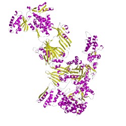 Image of CATH 2uvaG