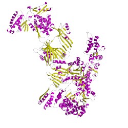 Image of CATH 2uvcG