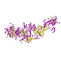 Image of CATH 2uvcH