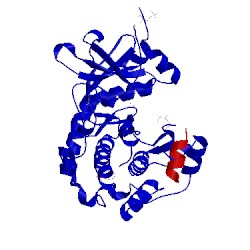 Image of CATH 2uw5