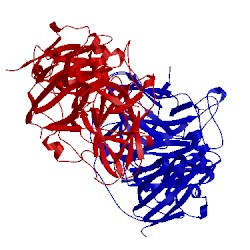 Image of CATH 2uxt