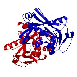 Image of CATH 2uyf