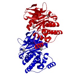 Image of CATH 2uyu