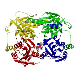 Image of CATH 2uz3
