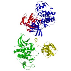 Image of CATH 2uzd