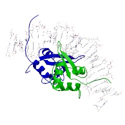 Image of CATH 2uzk