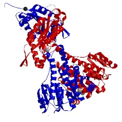 Image of CATH 2v0n