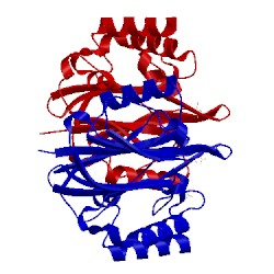 Image of CATH 2v0r