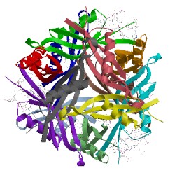 Image of CATH 2v18