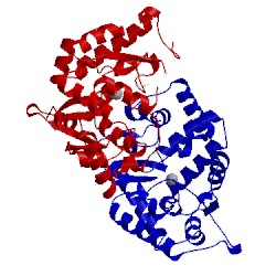 Image of CATH 2v27
