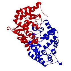Image of CATH 2v28