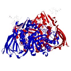 Image of CATH 2v3e