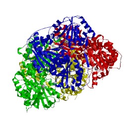 Image of CATH 2v3w