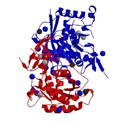 Image of CATH 2v4b