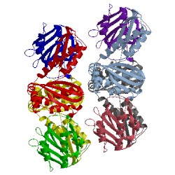Image of CATH 2v4i