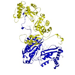 Image of CATH 2v4j