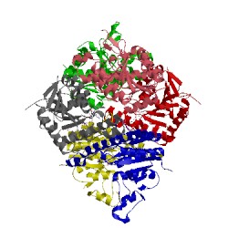 Image of CATH 2v4y