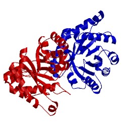 Image of CATH 2v5l