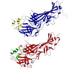 Image of CATH 2v5p