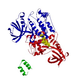 Image of CATH 2v5q