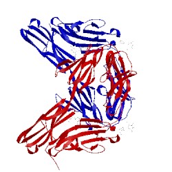 Image of CATH 2v5s