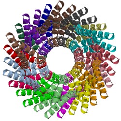 Image of CATH 2v6l