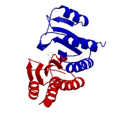 Image of CATH 2v6t