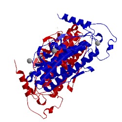 Image of CATH 2v8u