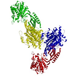 Image of CATH 2v8v