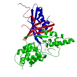 Image of CATH 2v92