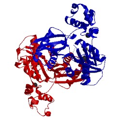 Image of CATH 2va2