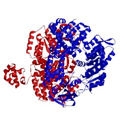 Image of CATH 2va8