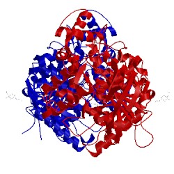 Image of CATH 2va9