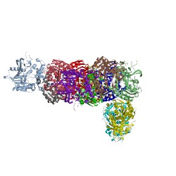 Image of CATH 2vax