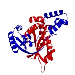 Image of CATH 2vbx