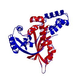 Image of CATH 2vbz