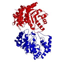 Image of CATH 2vc6